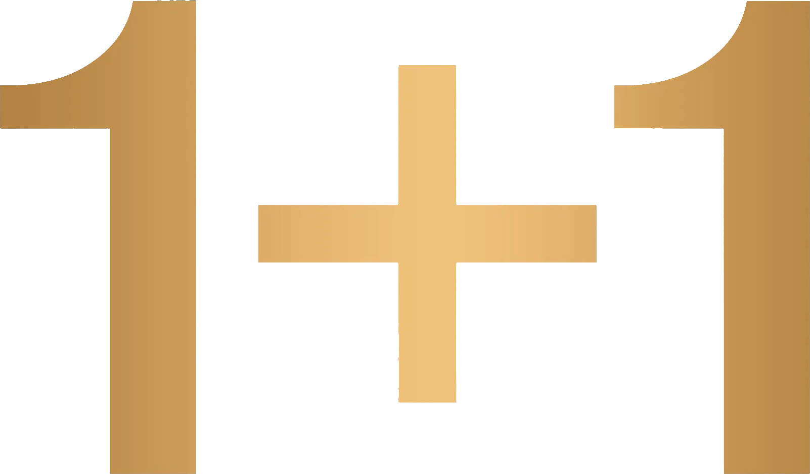 1+1 logo